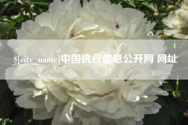 临夏中国执行信息公开网 网址