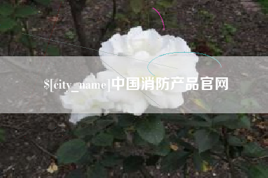 临夏中国消防产品官网