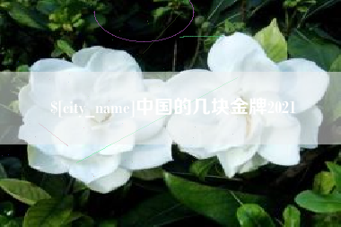 临夏中国的几块金牌2021