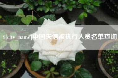 临夏中国失信被执行人员名单查询