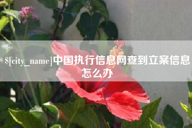 临夏中国执行信息网查到立案信息怎么办