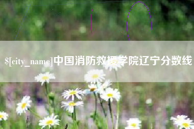 临夏中国消防救援学院辽宁分数线