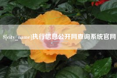 临夏执行信息公开网查询系统官网