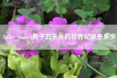 临夏男子五千米的世界纪录是多少