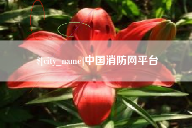 临夏中国消防网平台