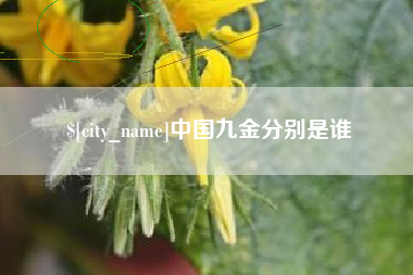 临夏中国九金分别是谁