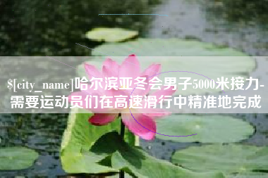 临夏哈尔滨亚冬会男子5000米接力-需要运动员们在高速滑行中精准地完成