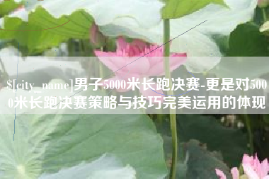 临夏男子5000米长跑决赛-更是对5000米长跑决赛策略与技巧完美运用的体现