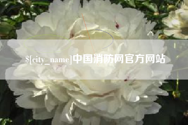 临夏中国消防网官方网站