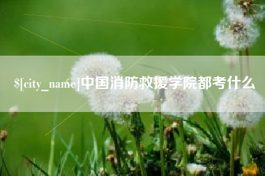 临夏中国消防救援学院都考什么