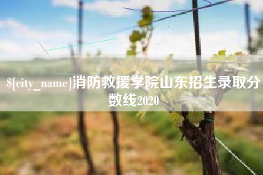 临夏消防救援学院山东招生录取分数线2020