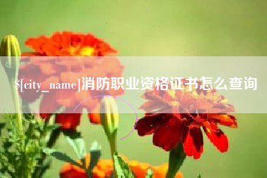 临夏消防职业资格证书怎么查询