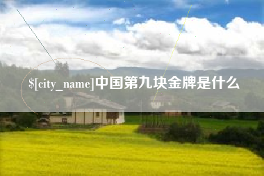 临夏中国第九块金牌是什么