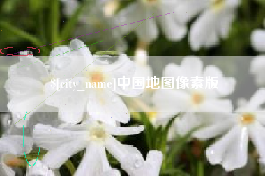 临夏中国地图像素版