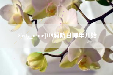 临夏119消防日哪年开始