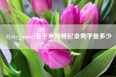 临夏五千米世界纪录男子是多少
