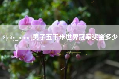 临夏男子五千米世界冠军奖金多少