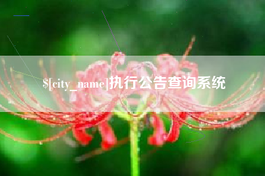 临夏执行公告查询系统