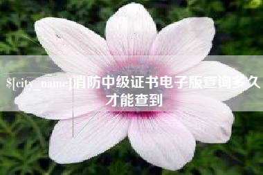 临夏消防中级证书电子版查询多久才能查到