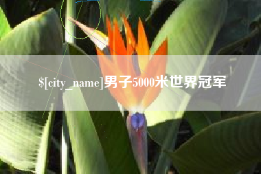 临夏男子5000米世界冠军