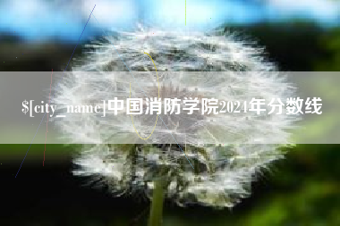 临夏中国消防学院2024年分数线