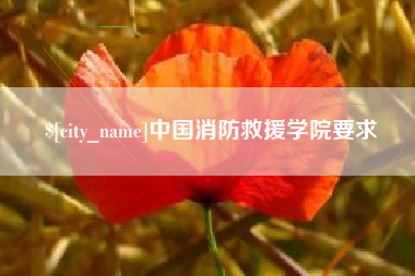 临夏中国消防救援学院要求