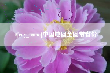 临夏中国地图全图带省份