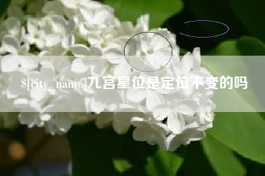 临夏九宫星位是定位不变的吗