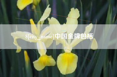 临夏中国金牌包括