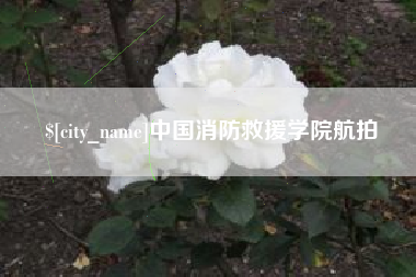 临夏中国消防救援学院航拍