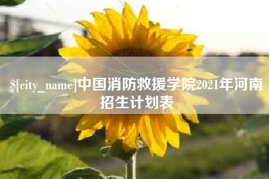 临夏中国消防救援学院2021年河南招生计划表