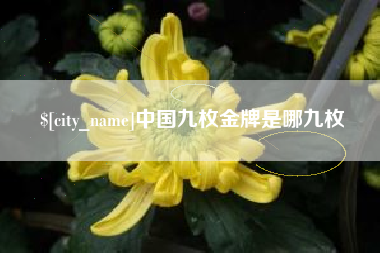 临夏中国九枚金牌是哪九枚
