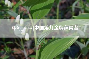 临夏中国第九金牌获得者