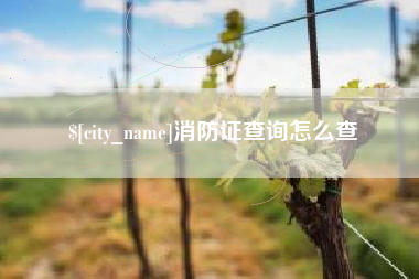 临夏消防证查询怎么查