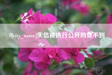 临夏失信被执行公开网查不到