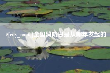 临夏全国消防日是从哪年发起的