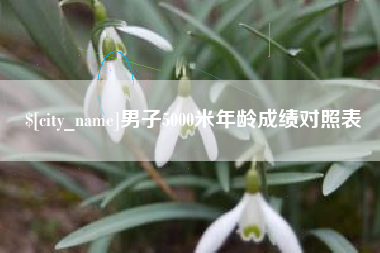 临夏男子5000米年龄成绩对照表