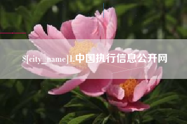 临夏1.中国执行信息公开网