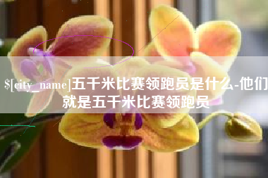 临夏五千米比赛领跑员是什么-他们就是五千米比赛领跑员