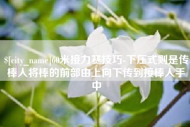 临夏60米接力赛技巧-下压式则是传棒人将棒的前部由上向下传到接棒人手中