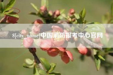 临夏中国消防报考中心官网
