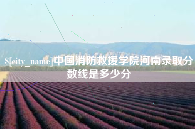 临夏中国消防救援学院河南录取分数线是多少分