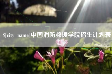 临夏中国消防救援学院招生计划表