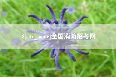 临夏全国消防招考网