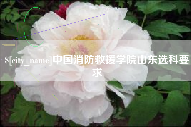 临夏中国消防救援学院山东选科要求