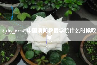 临夏中国消防救援学院什么时候政审