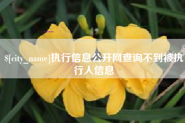 临夏执行信息公开网查询不到被执行人信息