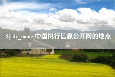 临夏中国执行信息公开网的地点