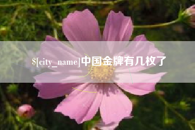 临夏中国金牌有几枚了