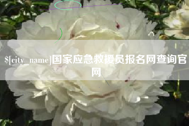 临夏国家应急救援员报名网查询官网